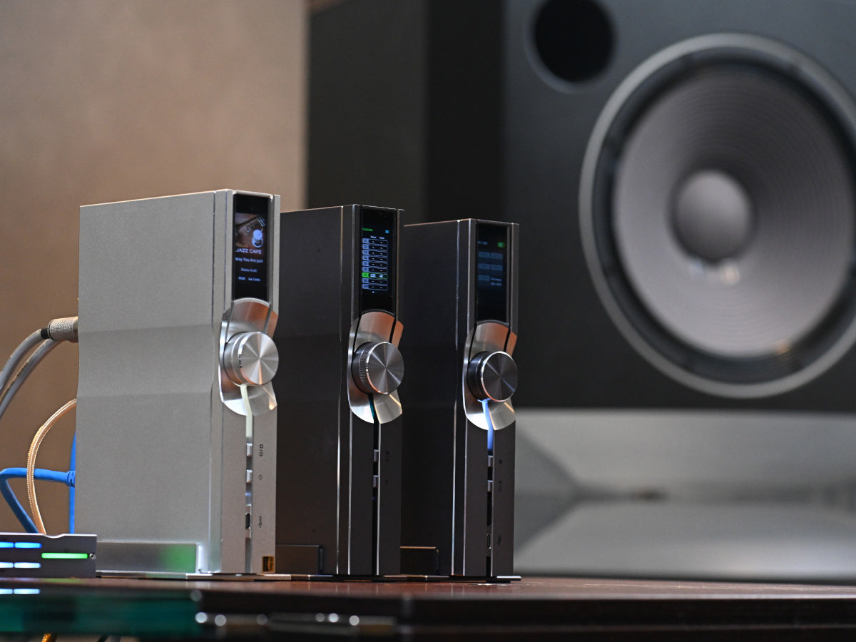 iFi Audio OMNI USB