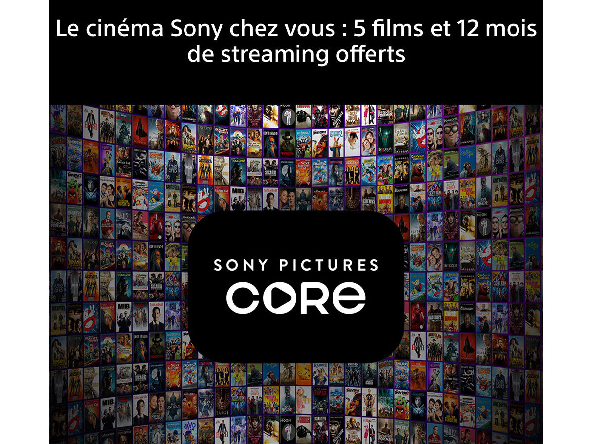 SONY 48 BRAVIA 6 (K48A65PB)