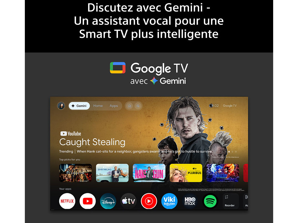 SONY 55 BRAVIA 6 (K55A65PB)