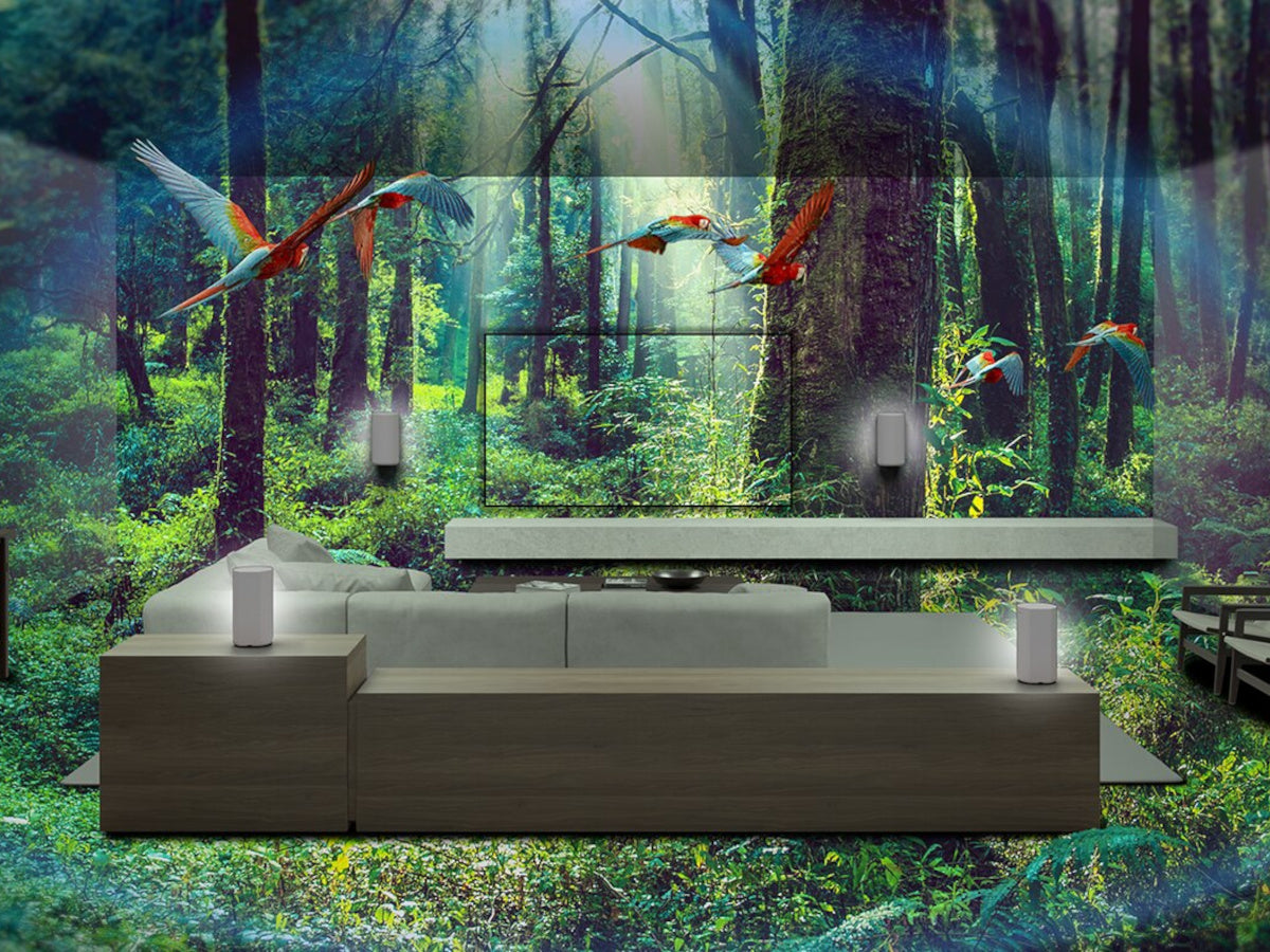 SONY BRAVIA Theatre Quad (HT-A9)