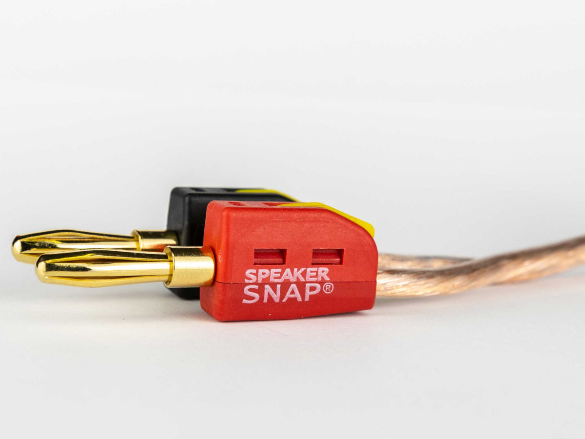 SPEAKER SNAP - Fiches bananes