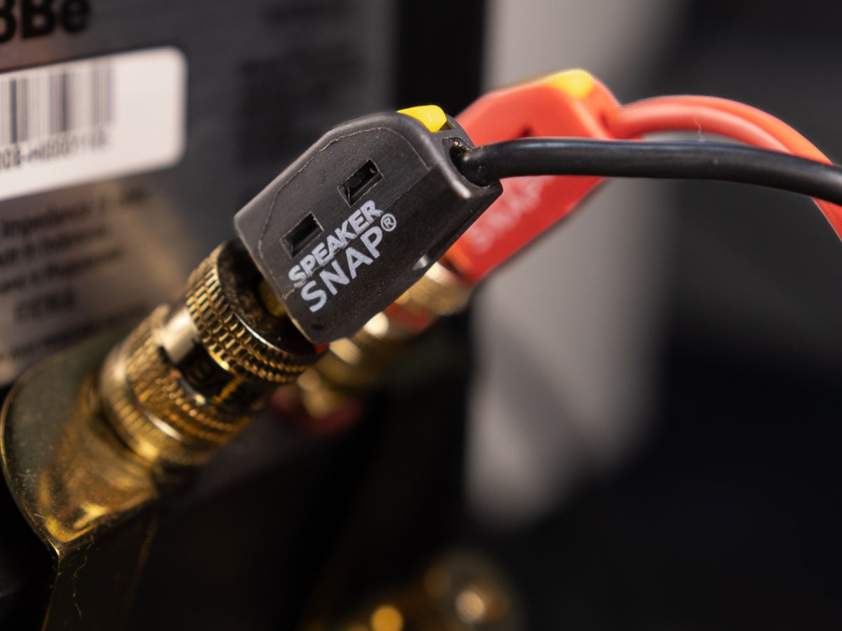 SPEAKER SNAP - Fiches bananes