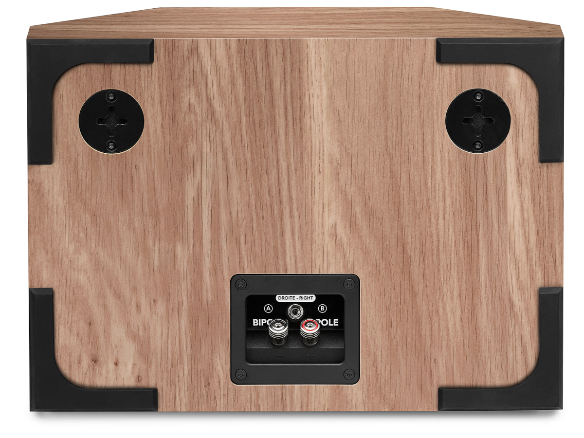 triangle brs1 chêne clair dos