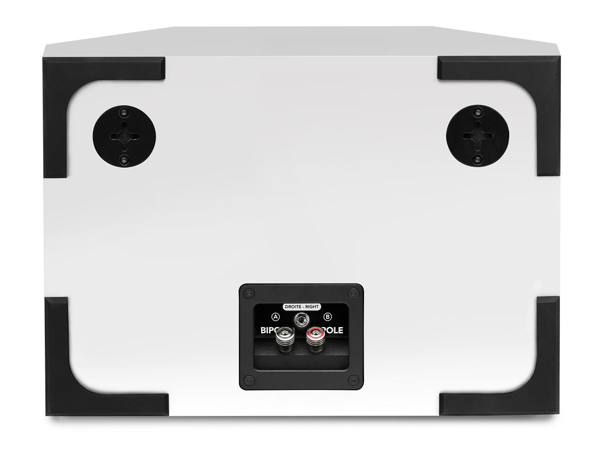 triangle brs1 white dos