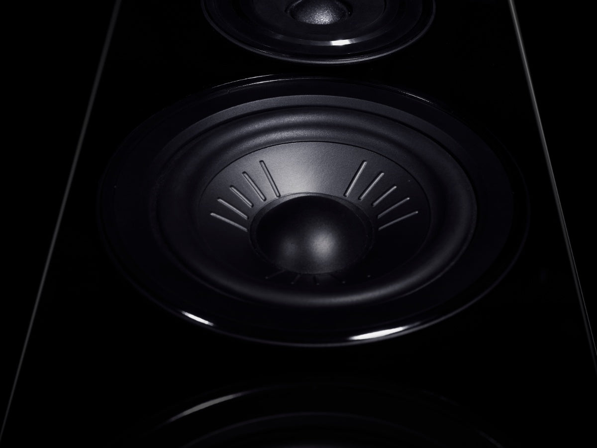 WHARFEDALE Diamond 12.3 (la paire)