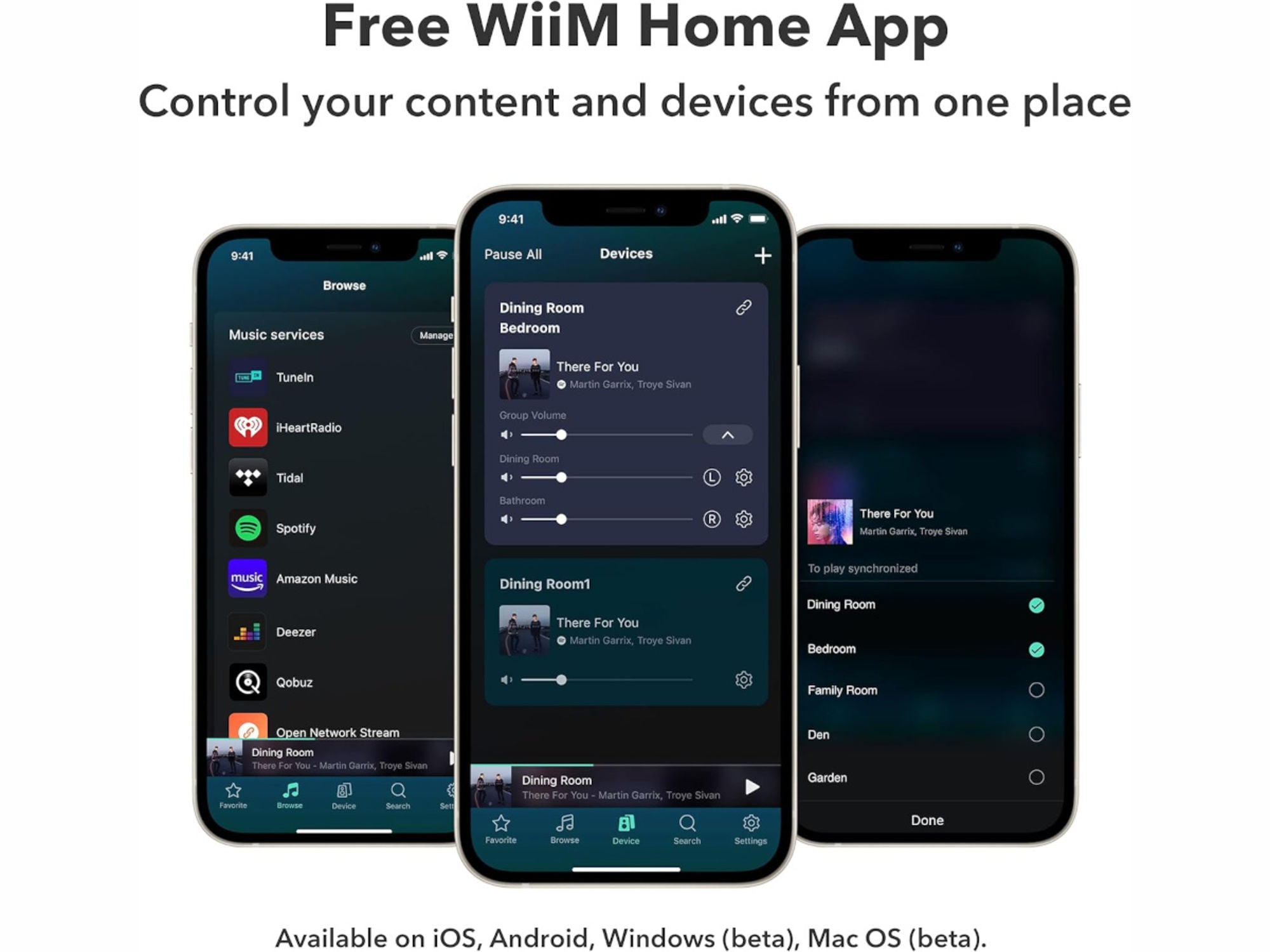 WIIM Mini