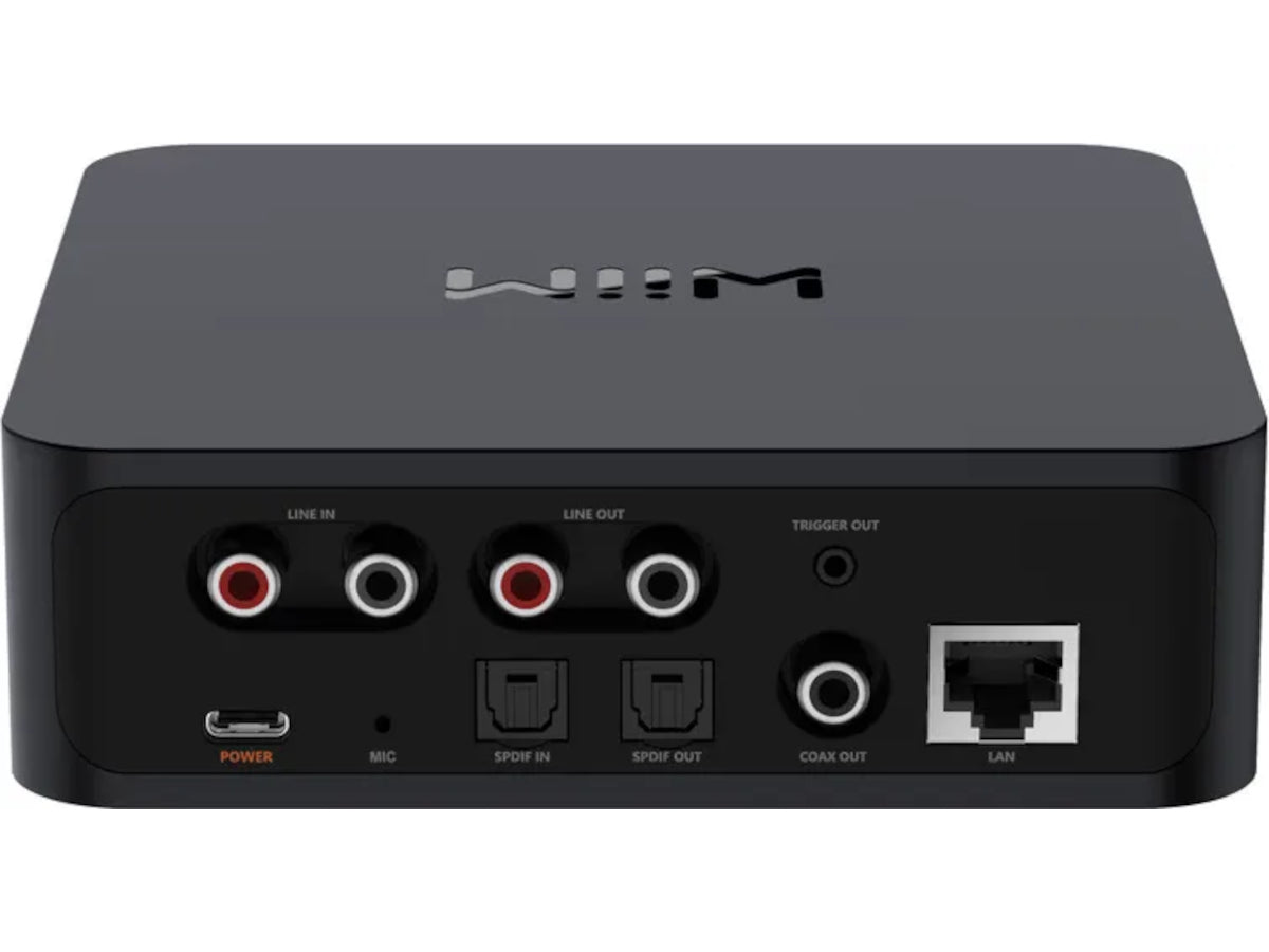 WIIM Pro +