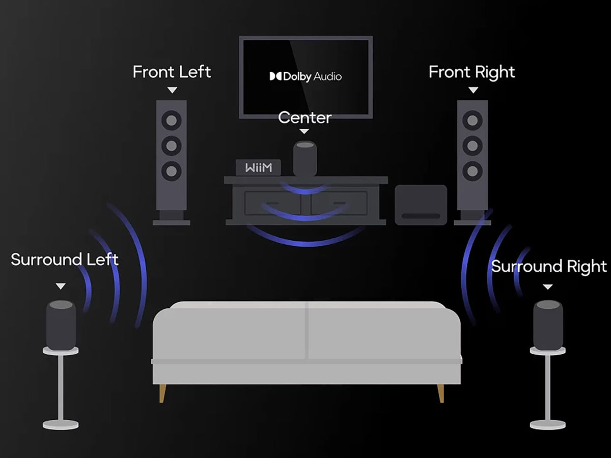WIIM SOUND LITE (détails)