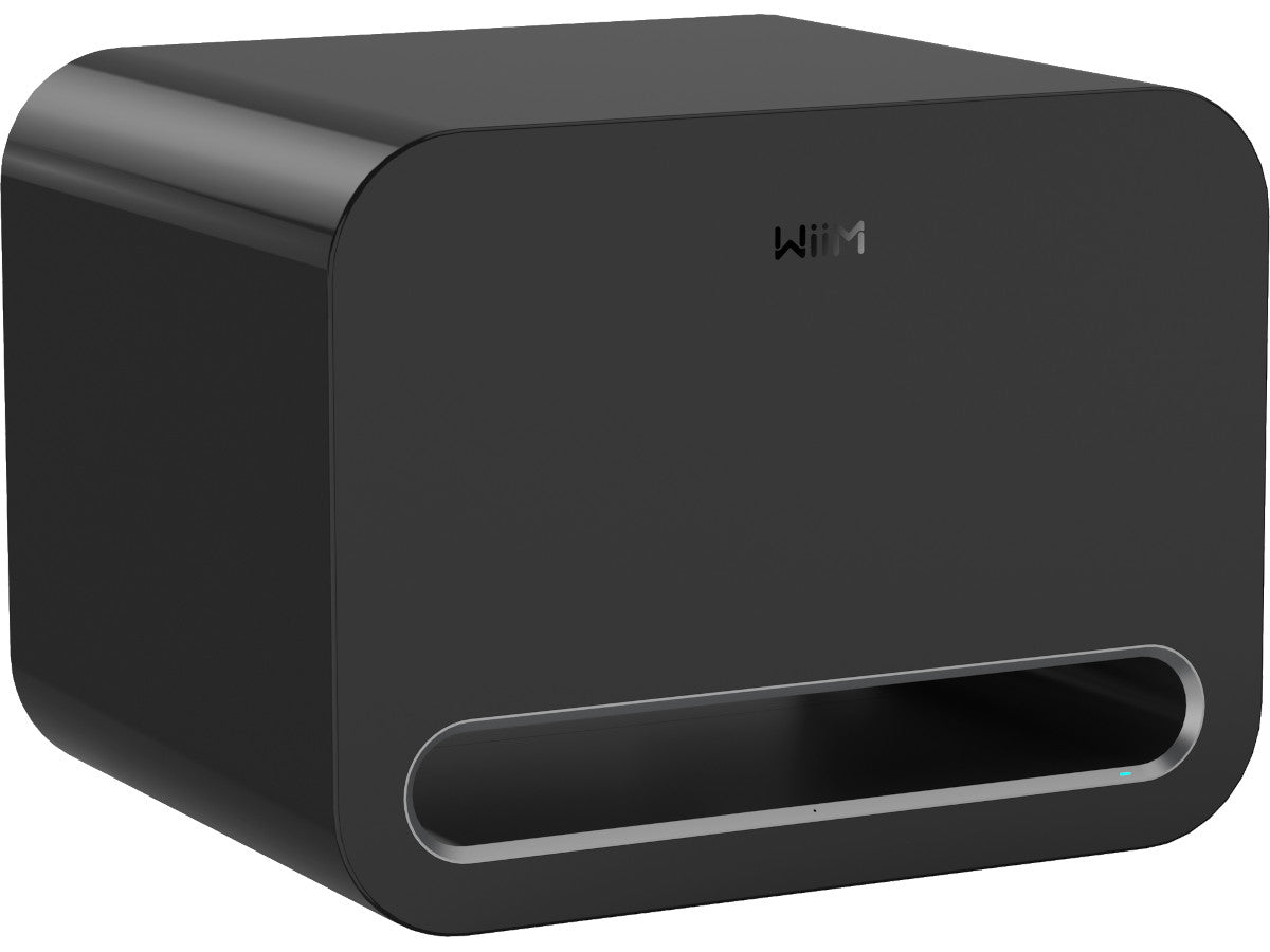 WIIM SUB PRO