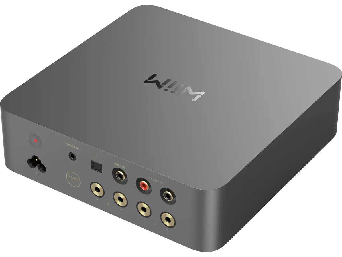 Wiim Vibelink Amp Space Grey arrière