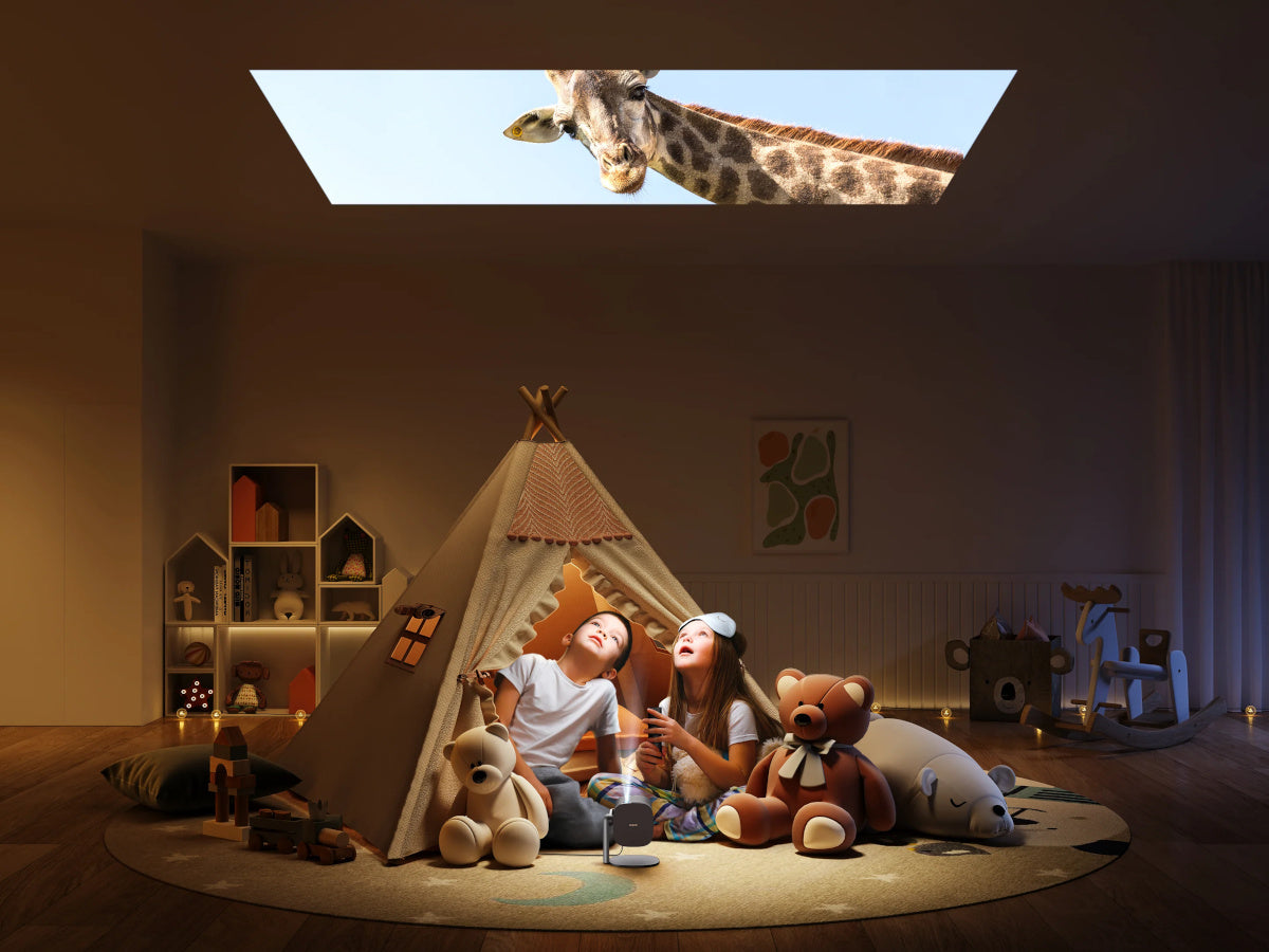 XGIMI Support Multi-Angle (Halo - MoGo)